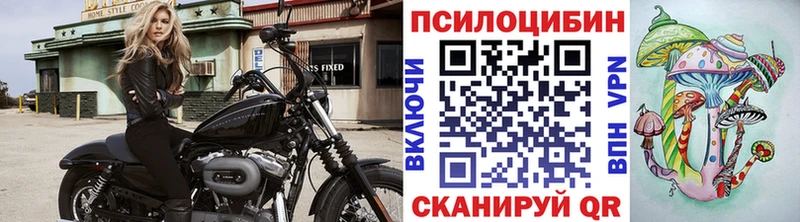 Псилоцибиновые грибы Psilocybine cubensis  Купить  Вольск 