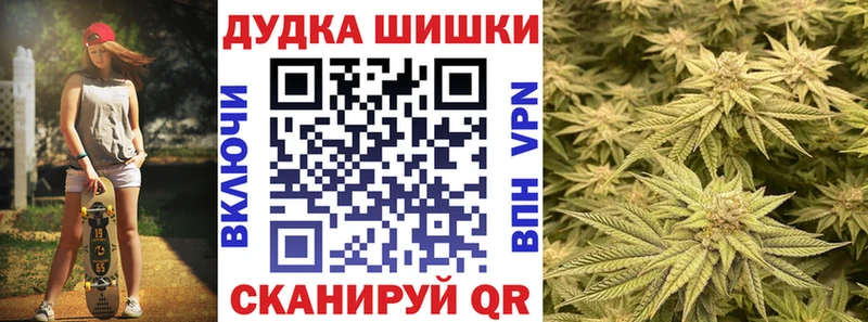 Купить где  Вольск  Канабис план 